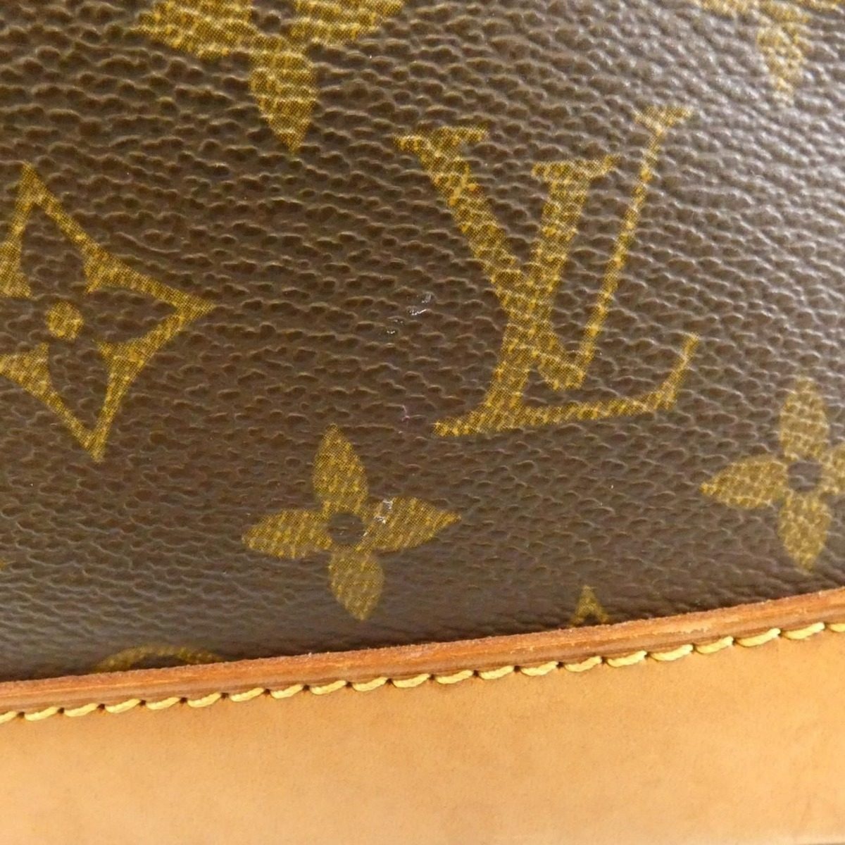 Louis Vuitton Monogram Alma PM Bag Jacket — view 5