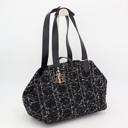 Christian DIOR Handbag Canage Toujours