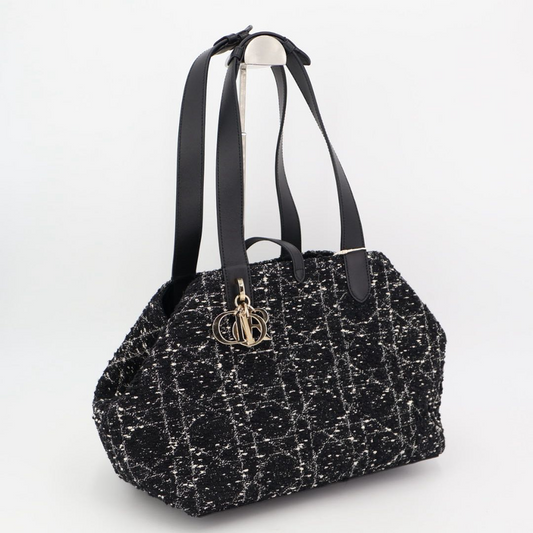 Christian DIOR Handbag Canage Toujours