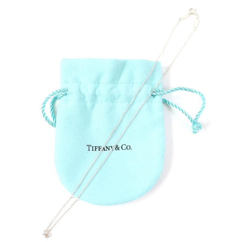 Tiffany & Co Color By The Yard Elsa Peretti Ag925 1P Diamond Necklace Accessory