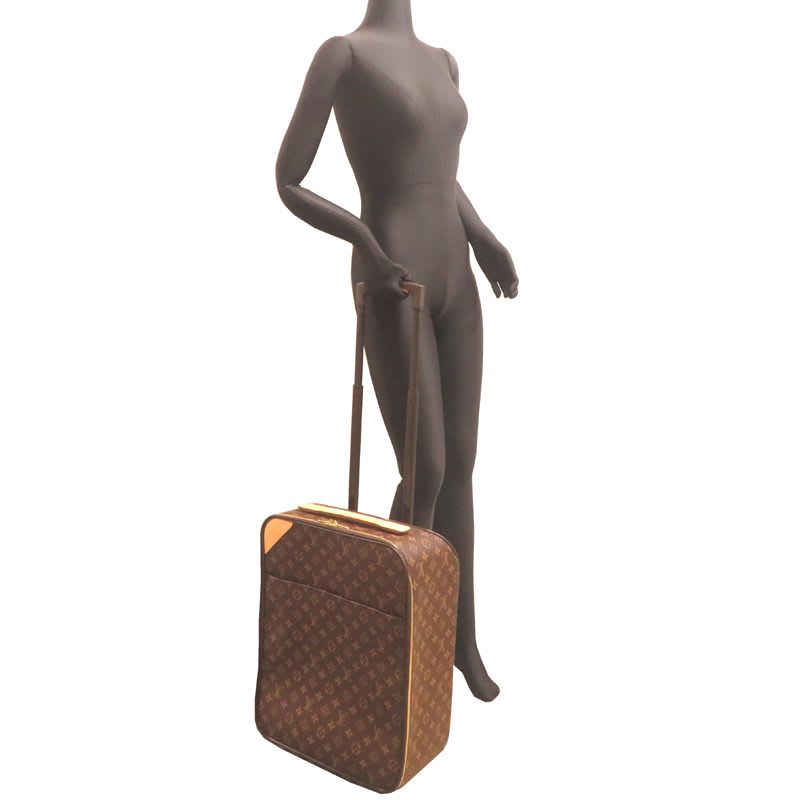 Louis Vuitton Carry Bag