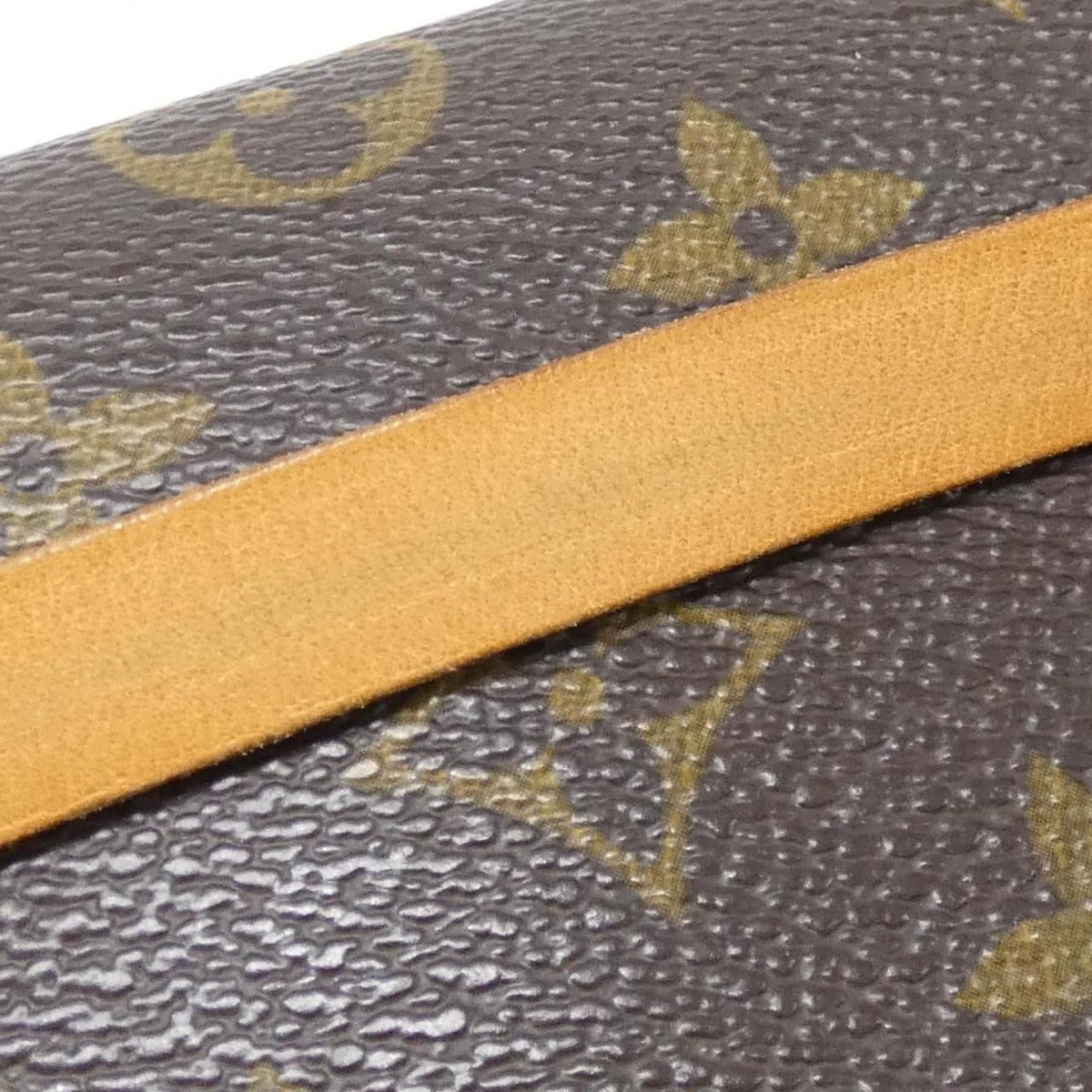 Louis Vuitton Monogram Pochette Florentine S Waist Bag — view 4