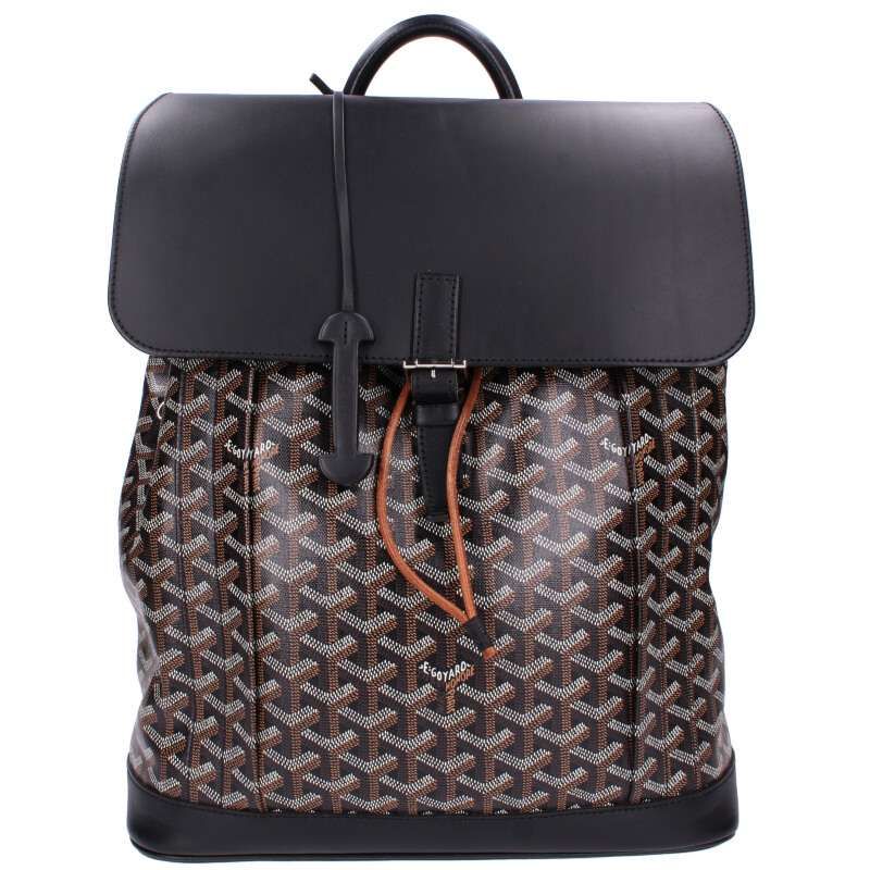 Goyard Alpin MM Pvcleather Erinborn 2-way Backpack Men's MM