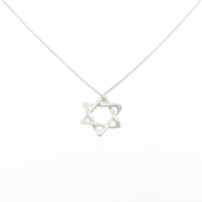 Tiffany & Co. Davide Necklace