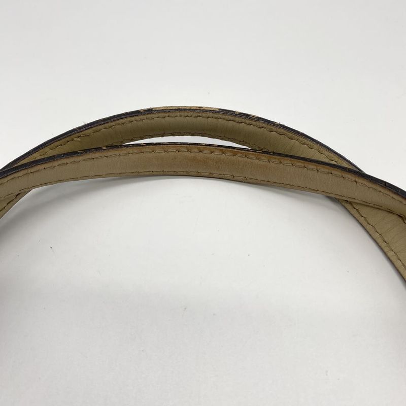 Gucci 257061 Tote Handbag GG Canvas Sherry Leather Beige Ladies Men Vintage