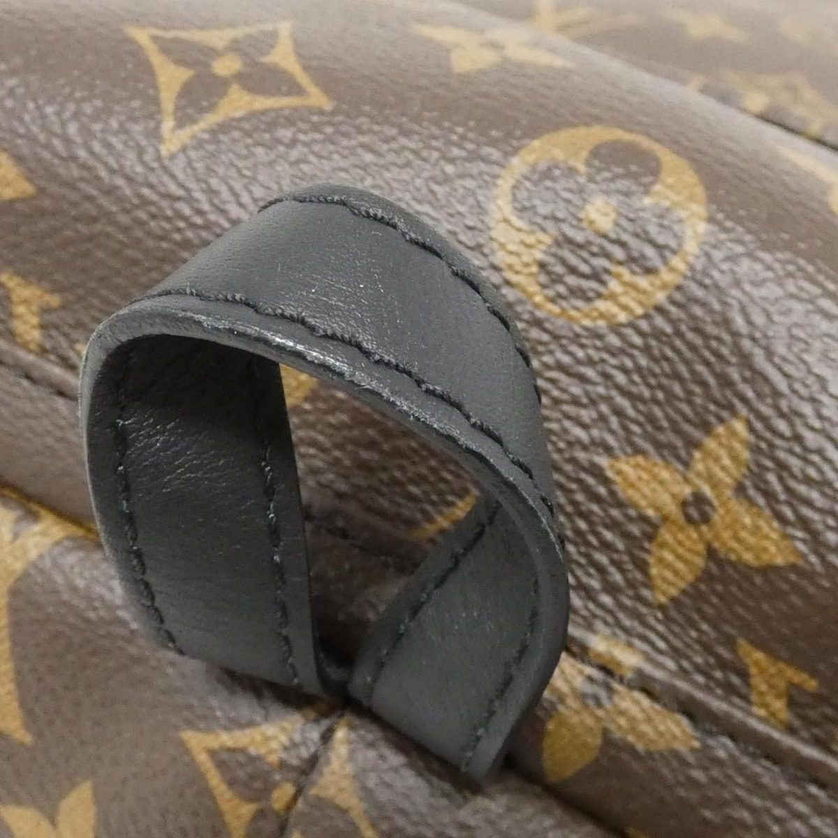 Louis Vuitton Monogram Palm Springs Backpack PM Sac — view 4