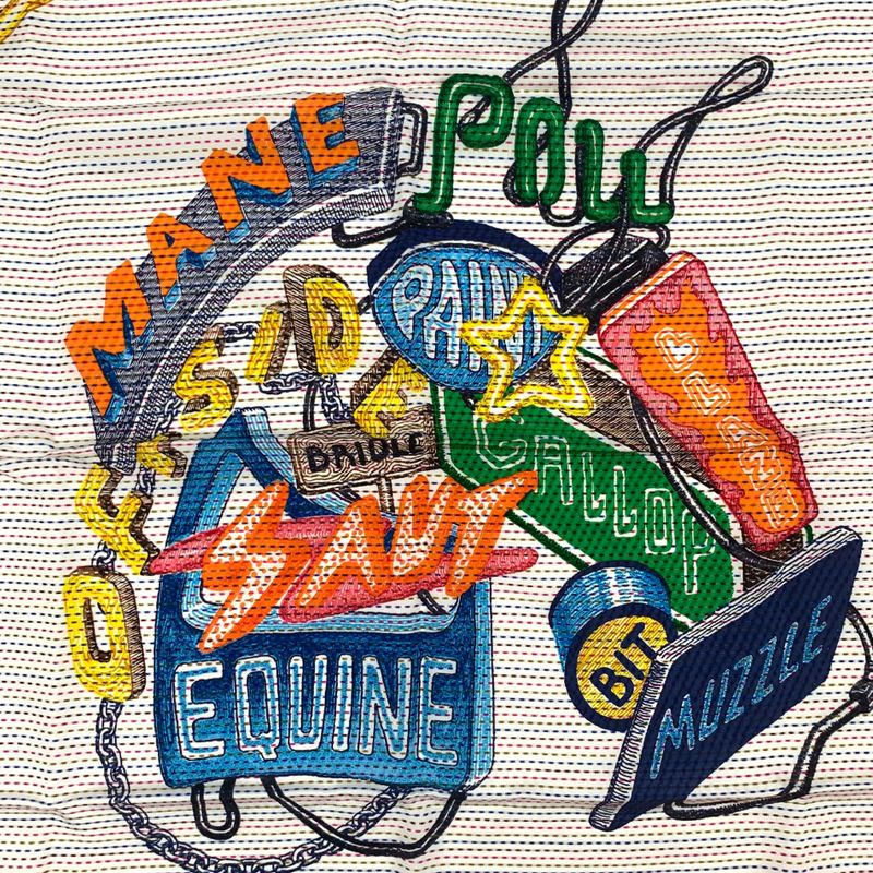 Class Hermes Carre 70 Cheval Oscope NEON Cheval Scope Neon Pointier