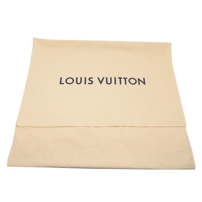 Louis Vuitton Carry Bag