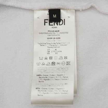 Fendi×frgmt×pokémon Fragment Dragon Type Pokémon Kairu Collaboration Sweatshirt
