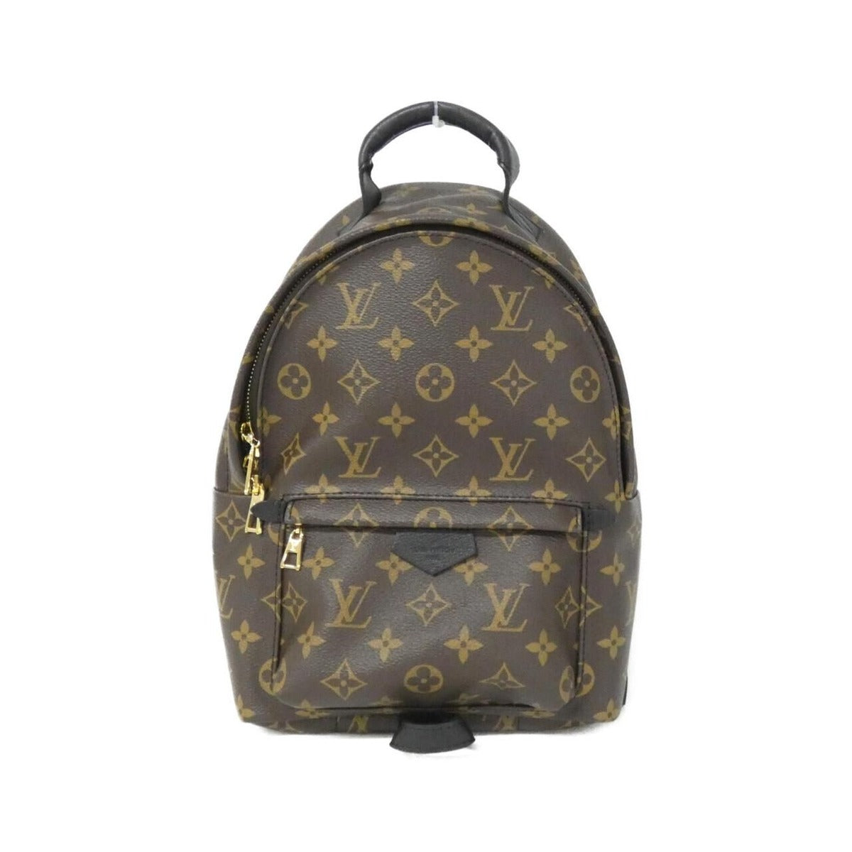 Louis Vuitton Monogram Palm Springs Backpack PM Rucksack