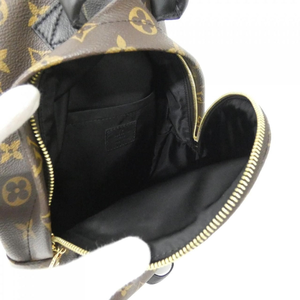 Louis Vuitton Monogram Palm Springs Backpack PM Rucksack — view 8