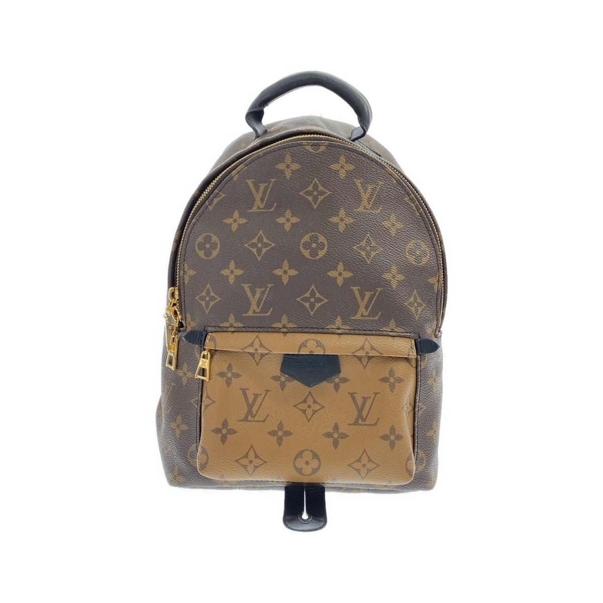 Louis Vuitton Monogram Reverse Palm Spring Backpack PM Brown Marron