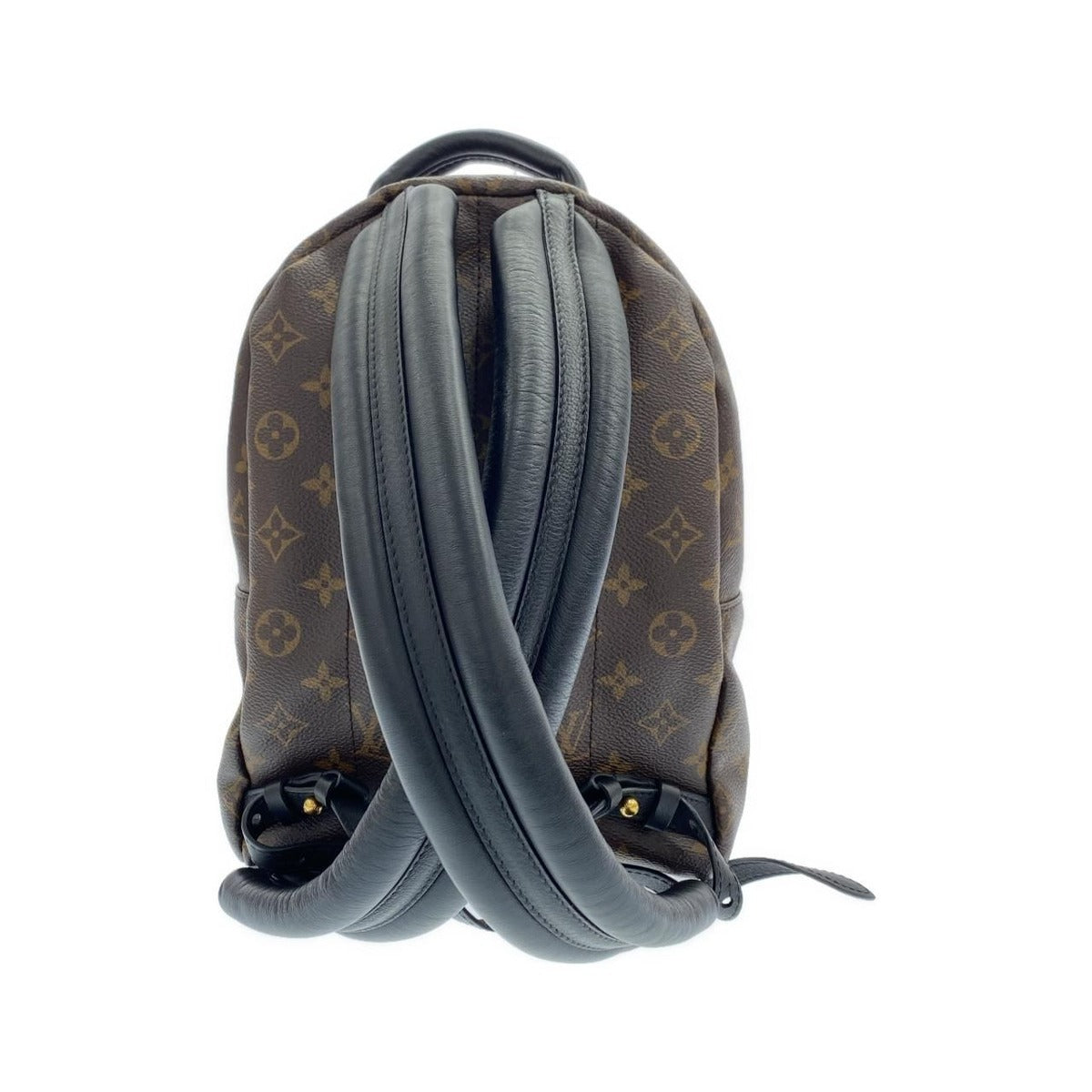 Louis Vuitton Monogram Reverse Palm Spring Backpack PM Brown Marron — view 2