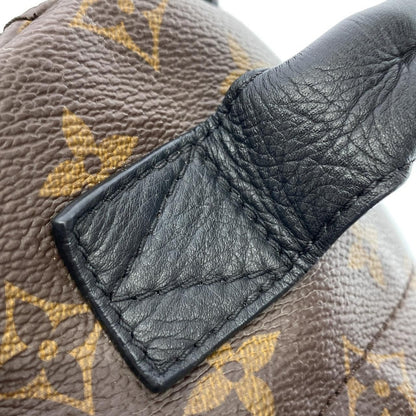 Louis Vuitton Monogram Reverse Palm Spring Backpack PM Brown Marron — view 5