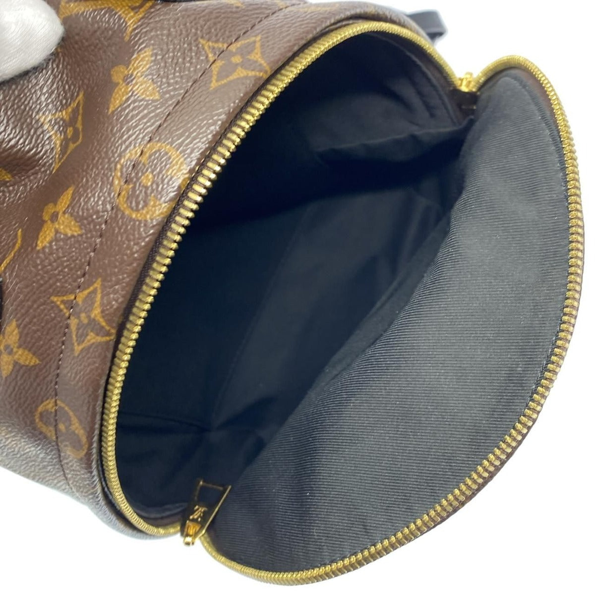 Louis Vuitton Monogram Reverse Palm Spring Backpack PM Brown Marron — view 7