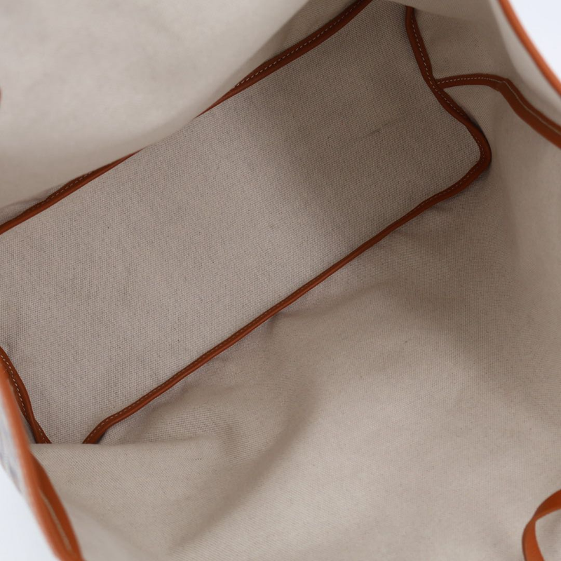 Goyard Saint Louis PM Tote Bag PVC Coated Canvas Brown Ladies