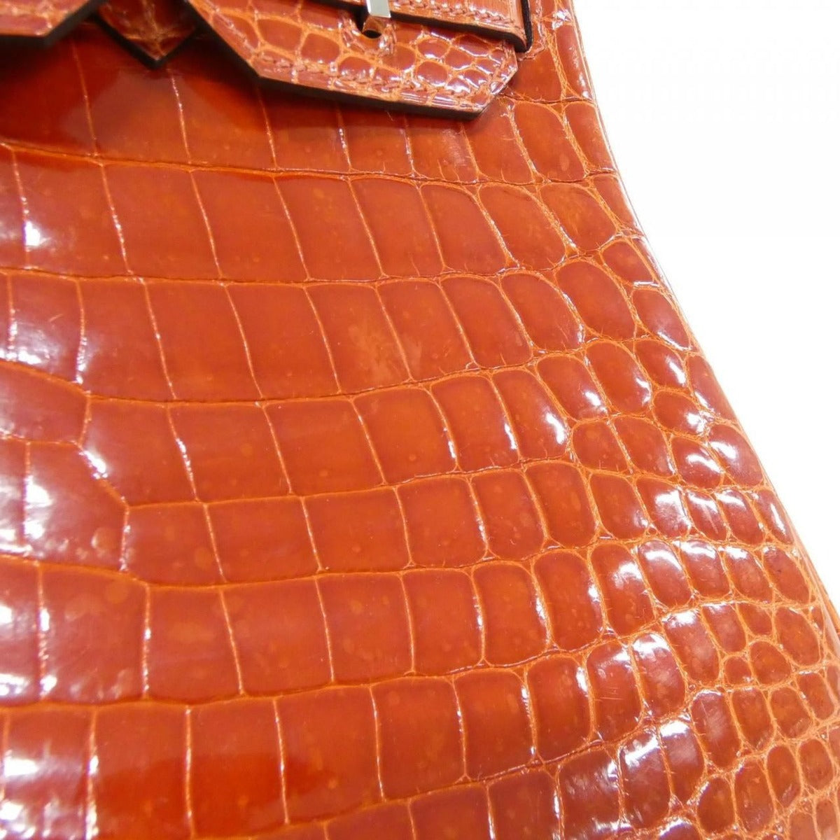 Hermes Birkin Bag Silver Braise — view 5
