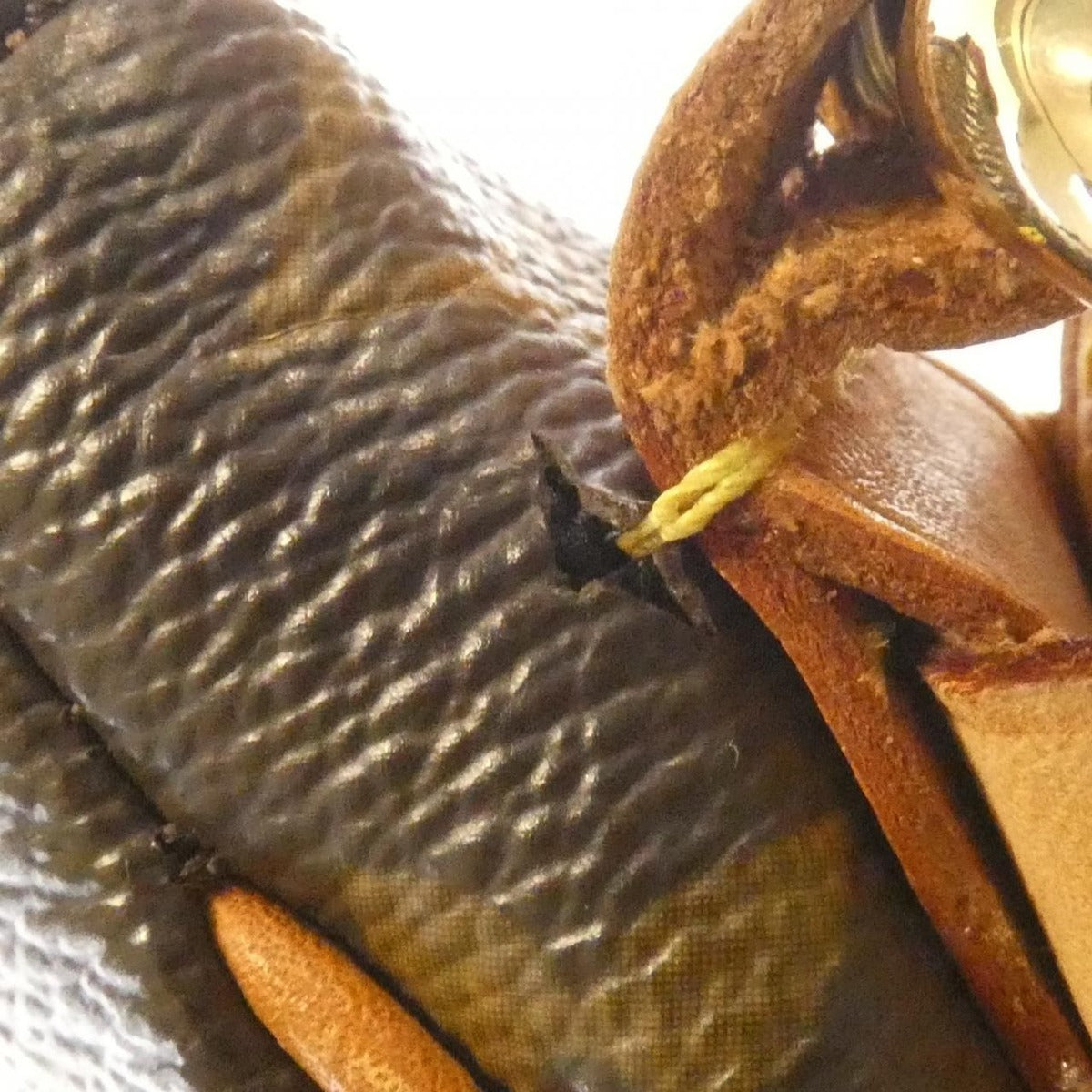 Louis Vuitton Monogram Thuram GM M40075 Shoulder Bag — view 7