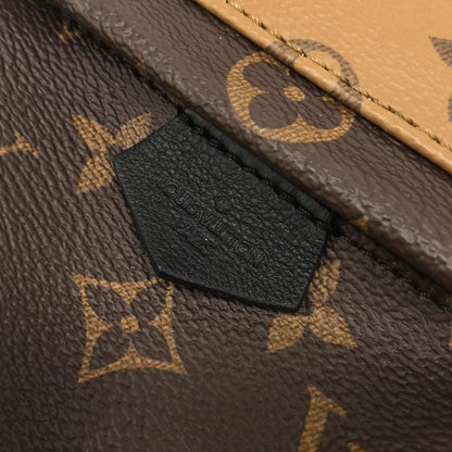 Louis Vuitton Monogram Reverse Palm Springs Backpack Mini Sac — view 4