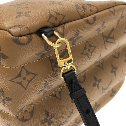 Louis Vuitton Monogram Reverse Palm Springs Backpack Mini Sac — view 5