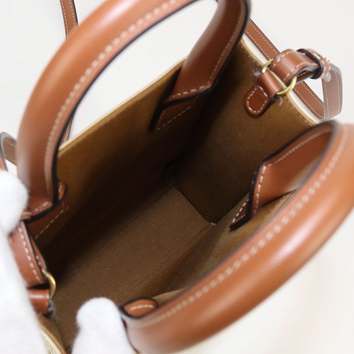 Celine Mini Vertical Cabas 2WAY Triomphe Canvas 19437 2BZK Handbag PVC Leather