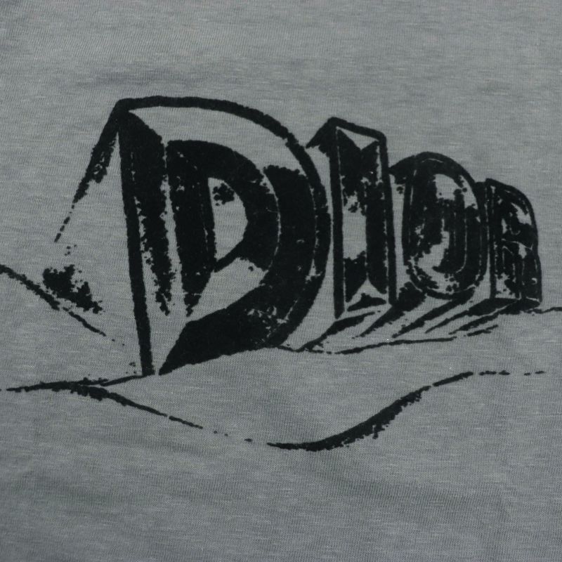  DIOR Homme 23AW 393j696a0849 Slub Cotton Jersey Short Sleeve Short Sleeve