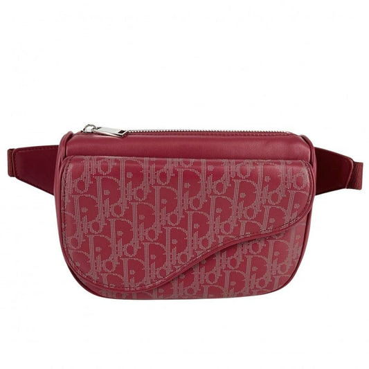 Dior Body Bag Oblique Galaxy Shoulder World Tour Saddle