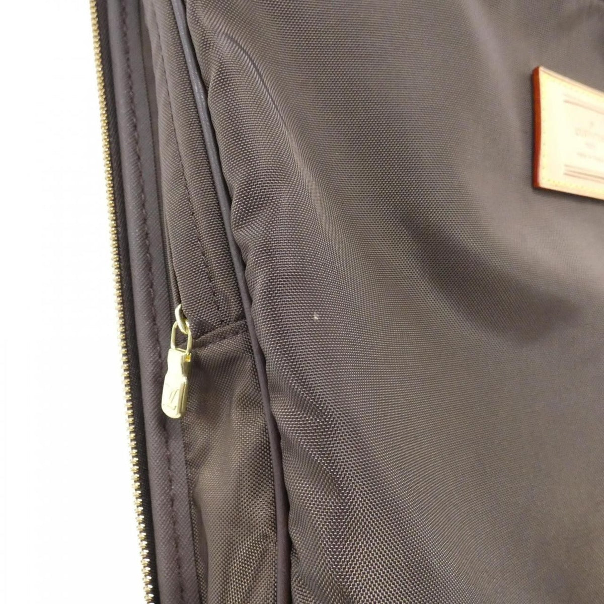 Louis Vuitton Monogram Pegase Carry Bag — view 10