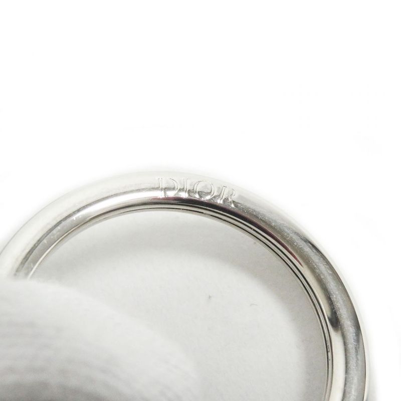 20SS DIOR / DIOR Homme CD Logo Silver Hardware Climbing Rope Carabiner Snap