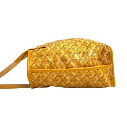 Goyard Anjou Mini Leather — view 5