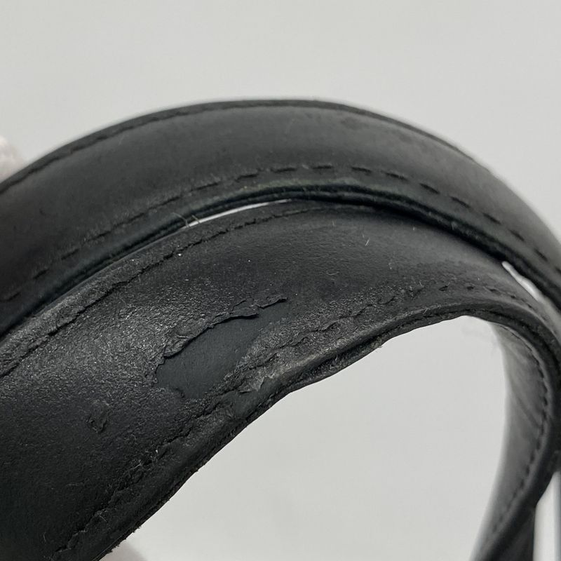 Chanel Tote New Travel Nylon Black Chien Pan Gold Hardware Women's