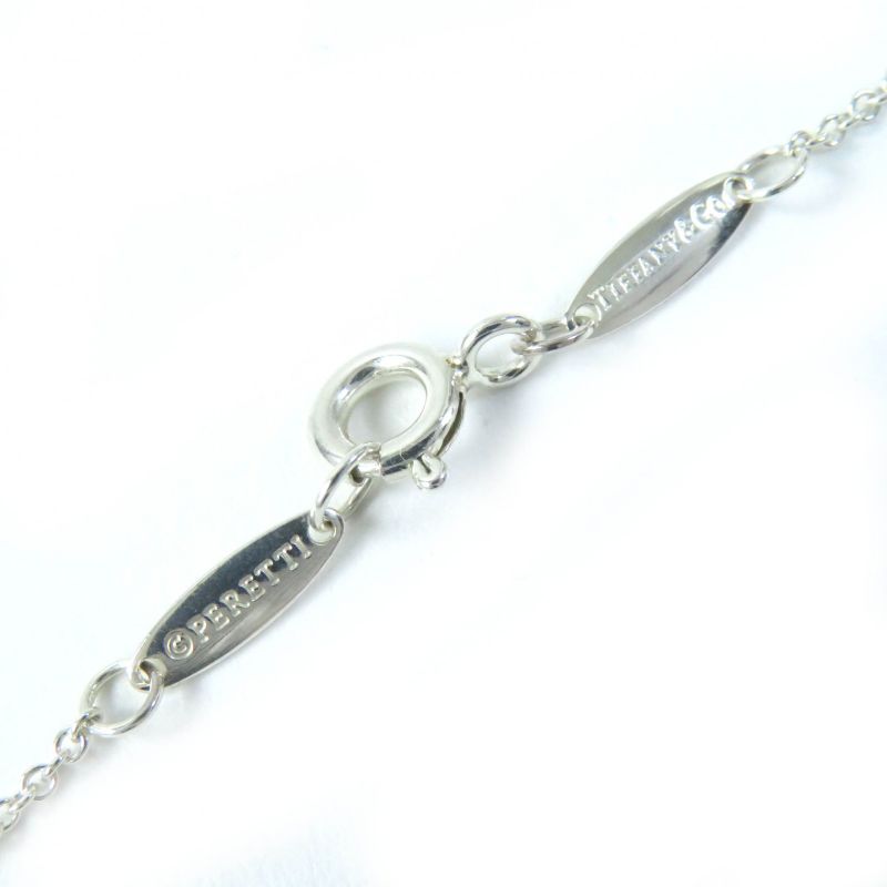 Tiffany & Co Color By The Yard Elsa Peretti Ag925 1P Aquamarine Necklace