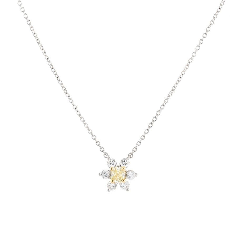 Tiffany & Co Necklace