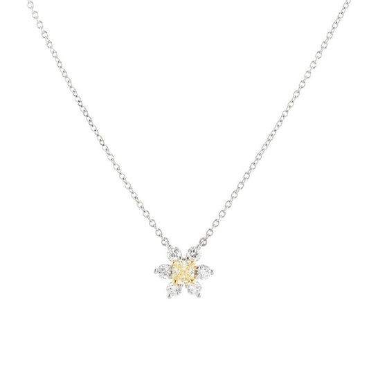 Tiffany & Co Necklace