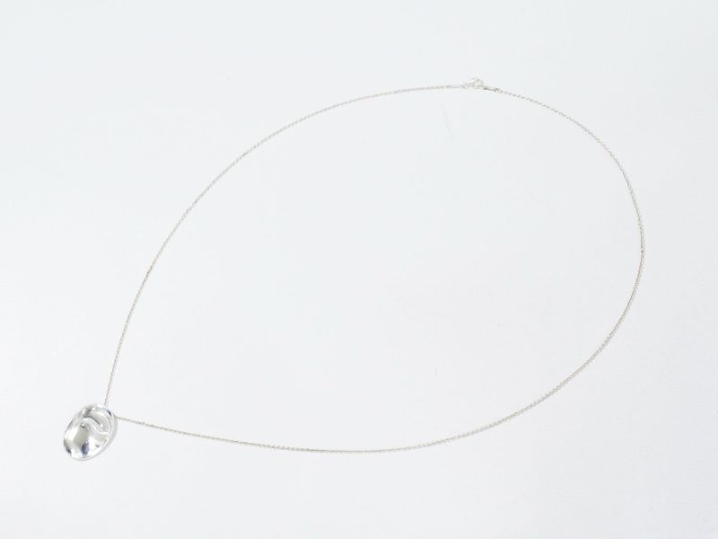 Authentic Tiffany & Co Tiffany & Co Zodiac Taurus Long Necklace Pendant Silver