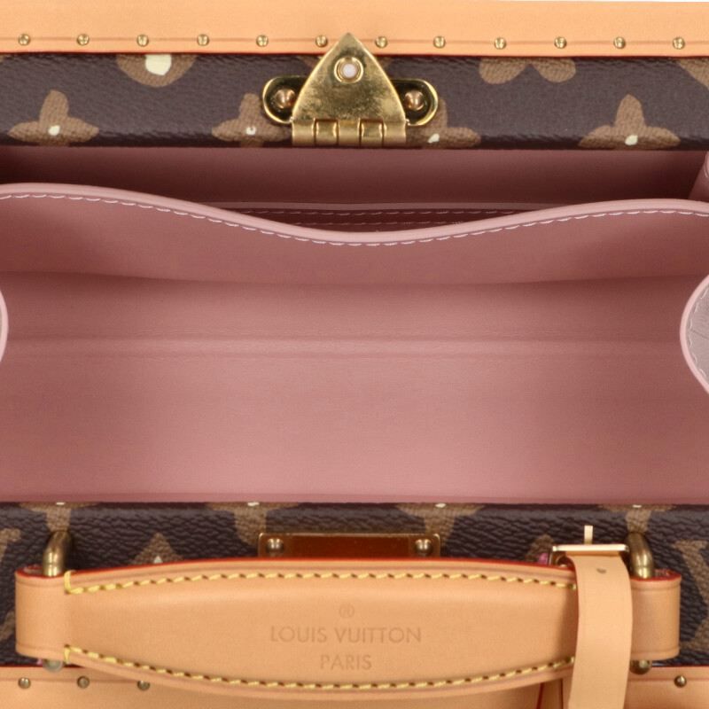 Louis Vuitton X Tyler The Creator M11120 Handle Trunk Monogram Craggy Trunk