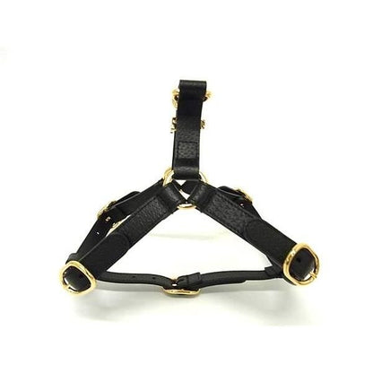Gucci Interlocking Small Pet Harness for Dogs Pet Supplies Leather Black Pet — view 3
