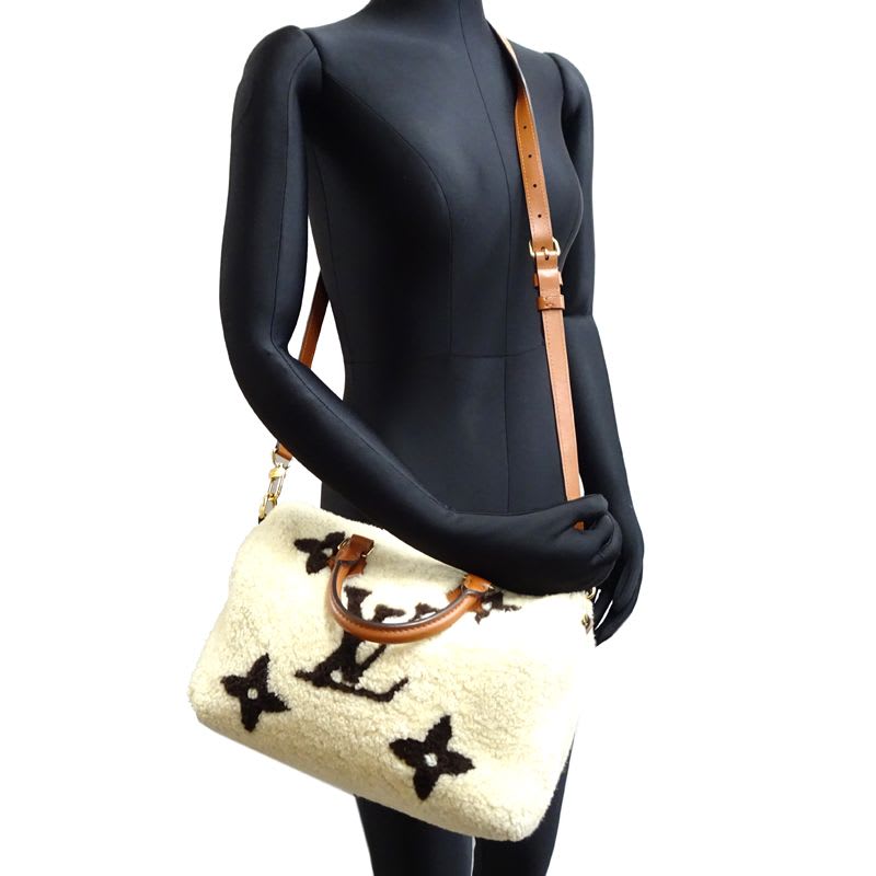 Louis Vuitton Handbag Speedy