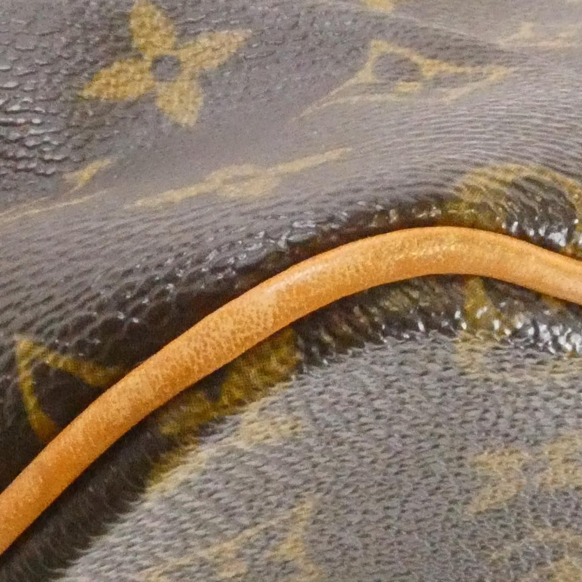 Louis Vuitton Monogram Palermo PM Bag — view 4
