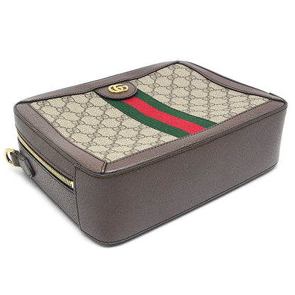 Gucci Ophidia Shoulder Bag 550622