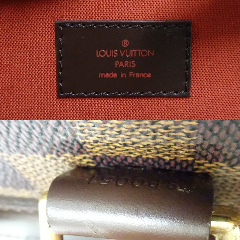 Louis Vuitton Carry Bag