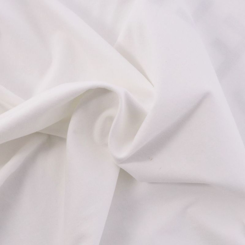 Celine T-shirt Cut And Sewn Short Sleeves Short Sleeves Cot