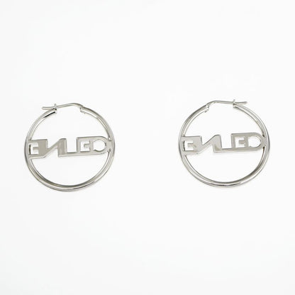 Celine Earrings Hoop Earrings Crystal Silver Color Pair Accessories-