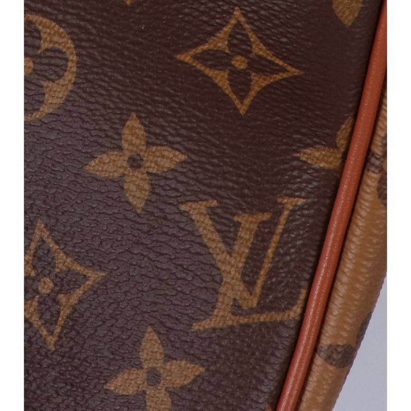 Louis Vuitton Beautiful M46311 Loop Hobo 2-way