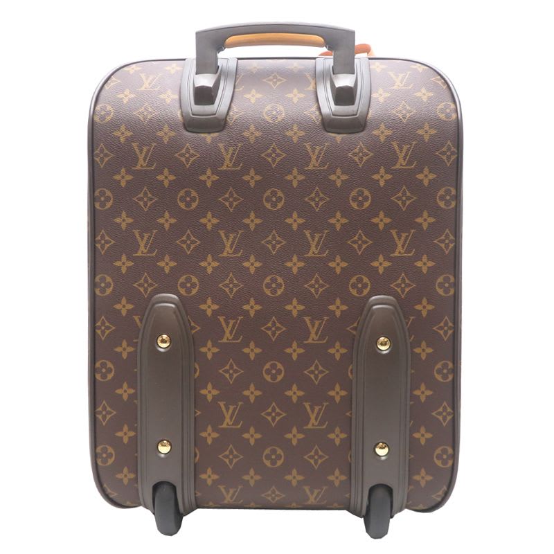 Louis Vuitton Carry Bag