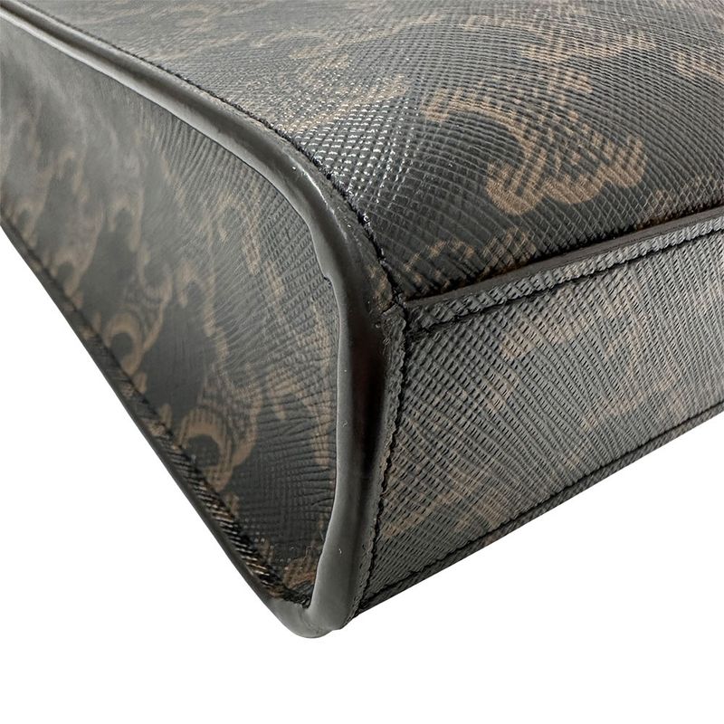 Celine Bag Women's Brand Handbag Shoulder Bag 2way Triomphe Canvas Triomphe