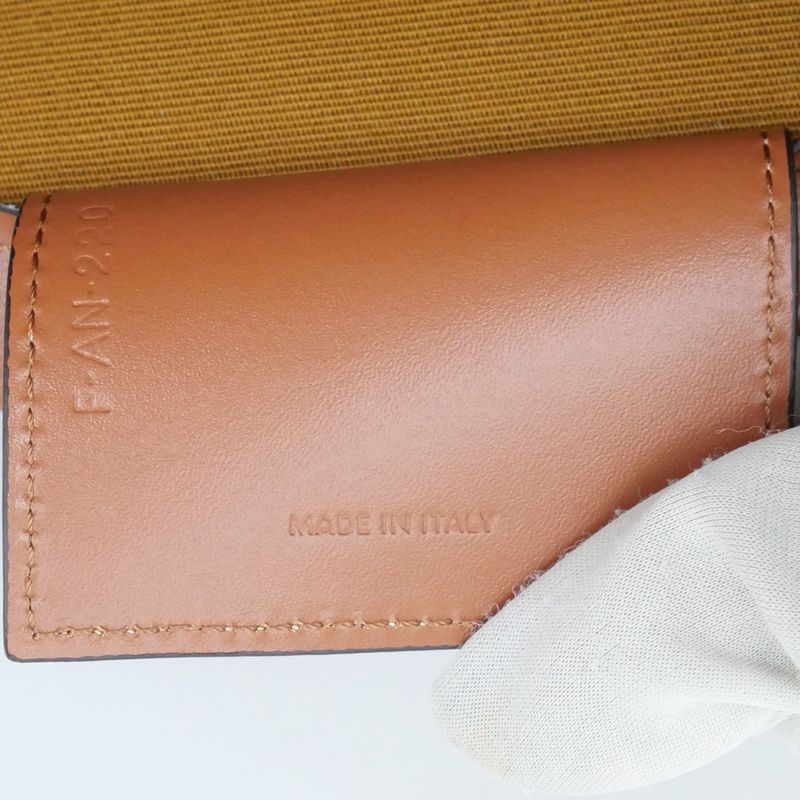 Celine Coufan Brown Triomphe Canvas Tote Bag Multicolor Logo Ladies