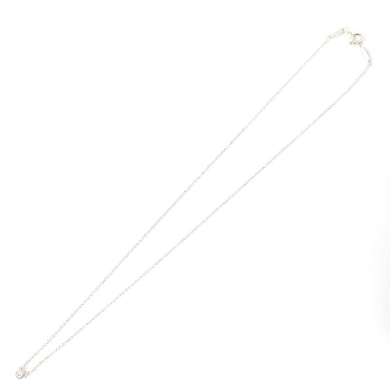Tiffany & Co Color By The Yard Elsa Peretti Ag925 1P Diamond Necklace Accessory
