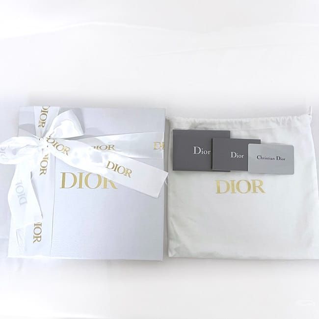 Christian Dior Mini Tote Bag Book Tote Mini Multicolor