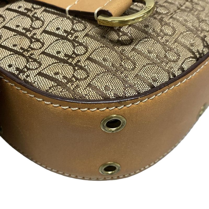 Dior/christian Dior Handbag Street Chic Dark Brown And Beige Leather